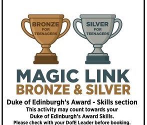 Bronze & Silver Handwriting Skills for Teenagers